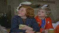 The Partridge Family